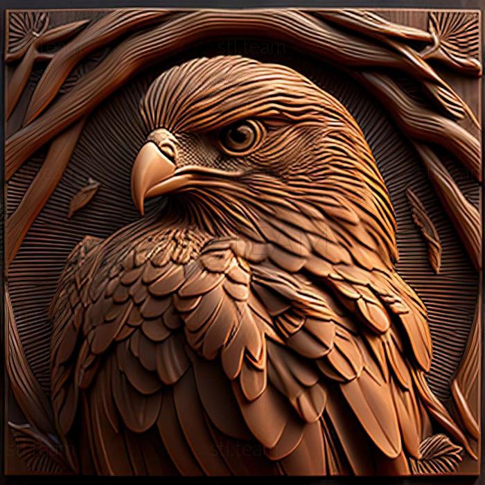 3D модель Buteo archeri (STL)